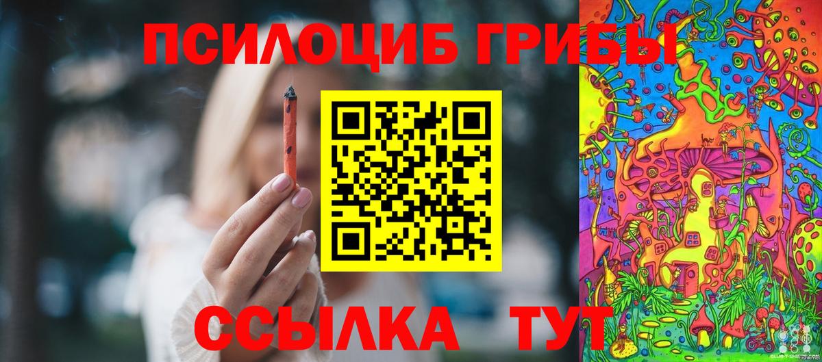 Галлюциногенные грибы мухоморы Кашира