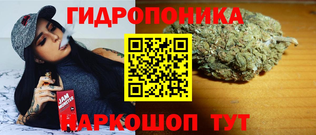 Кашира  Бошки марихуана AK-47  Каннабис сатива  Вход с VPN  Марихуана семена  Канабис ГИДРОПОН 